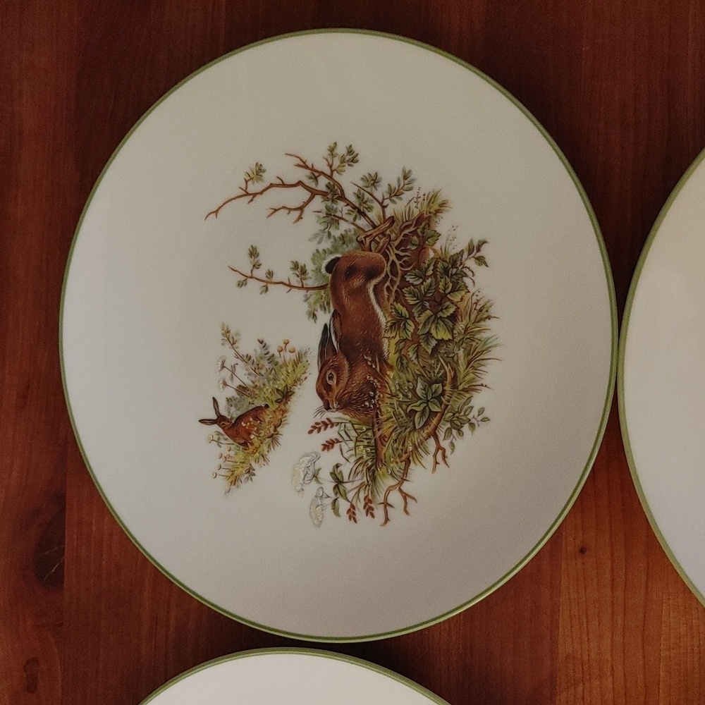 6 Bareuther Waldsassen Wildlife Transferware Porcelain Luncheon Plates - Picture 5 of 17